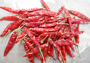 Red Chilli