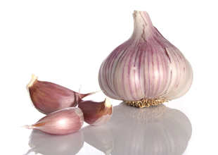 Garlic 