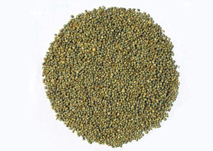 Green Millet